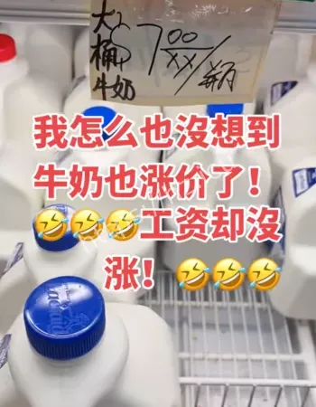 牛奶价格
